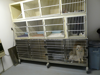 kennel area