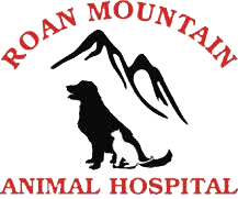 Roan Mountain Animal Hospital in Roan Mountain, 